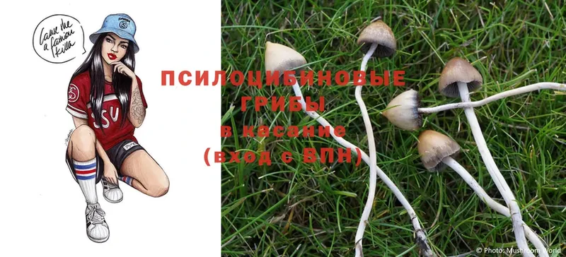 kraken рабочий сайт  Асбест  Галлюциногенные грибы Magic Shrooms 